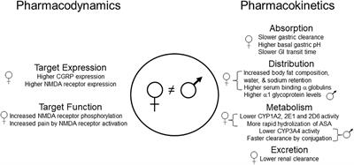 Sex-Specific Pharmacotherapy for Migraine: A Narrative Review